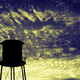 Illustration for article titled Shooting Challenge Gallery: Duotone I